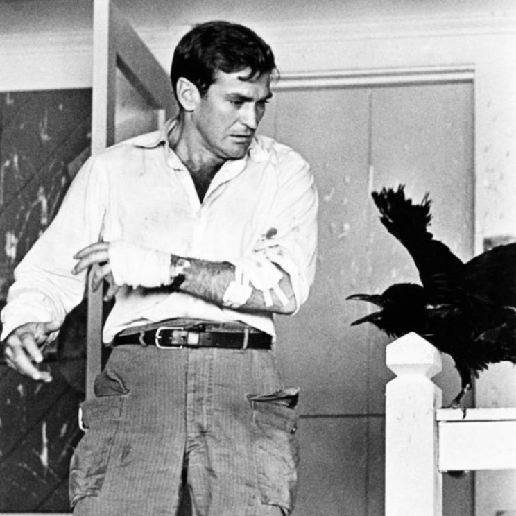 Rod Taylor