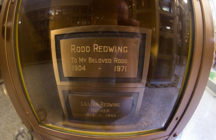 Rodd Redwing