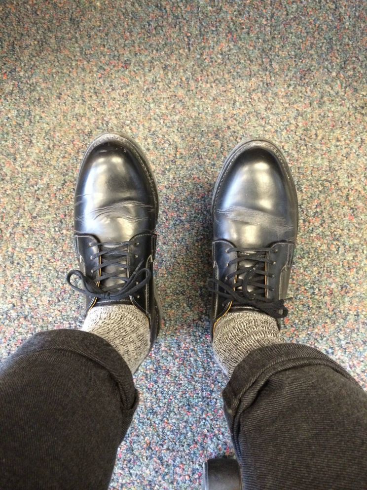 Rodd Redwing