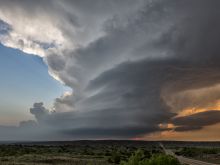 Roger Hill