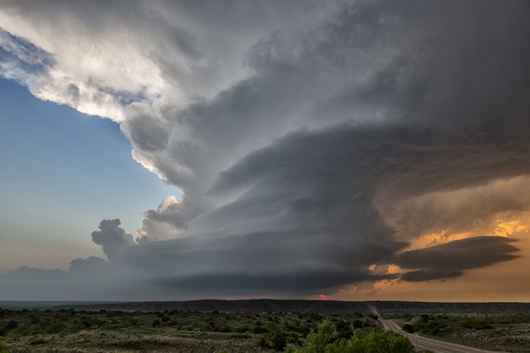 Roger Hill