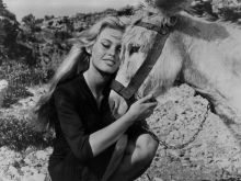 Roger Vadim photo