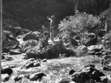 Roland Reed