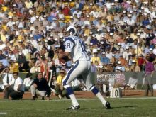 Roman Gabriel