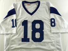 Roman Gabriel