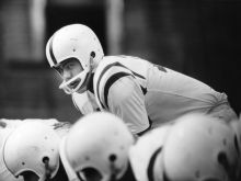 Roman Gabriel