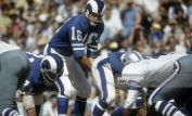 Roman Gabriel