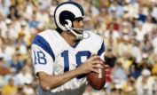 Roman Gabriel