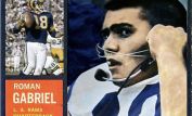 Roman Gabriel