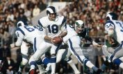 Roman Gabriel