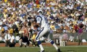 Roman Gabriel