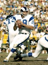 Roman Gabriel