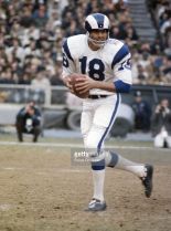 Roman Gabriel