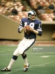 Roman Gabriel