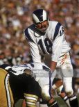 Roman Gabriel