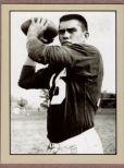 Roman Gabriel