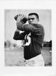 Roman Gabriel