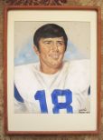 Roman Gabriel