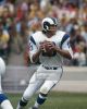 Roman Gabriel