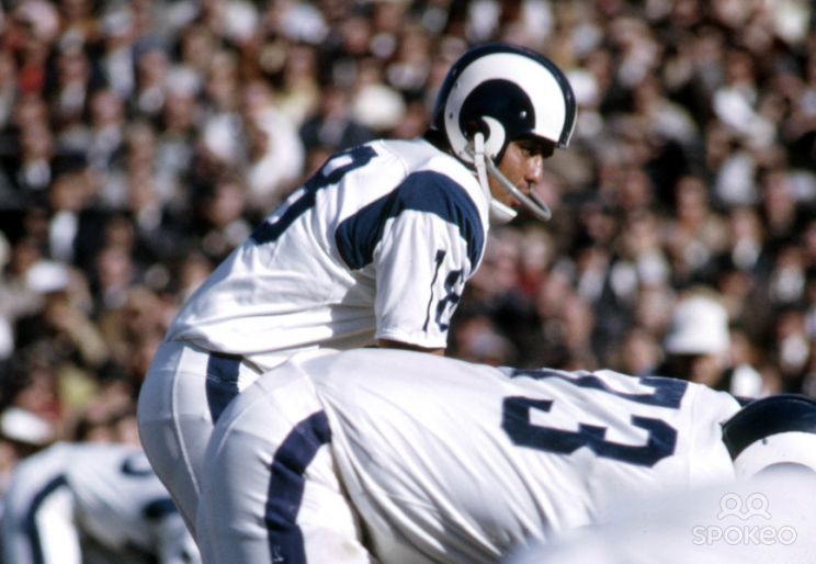 Roman Gabriel