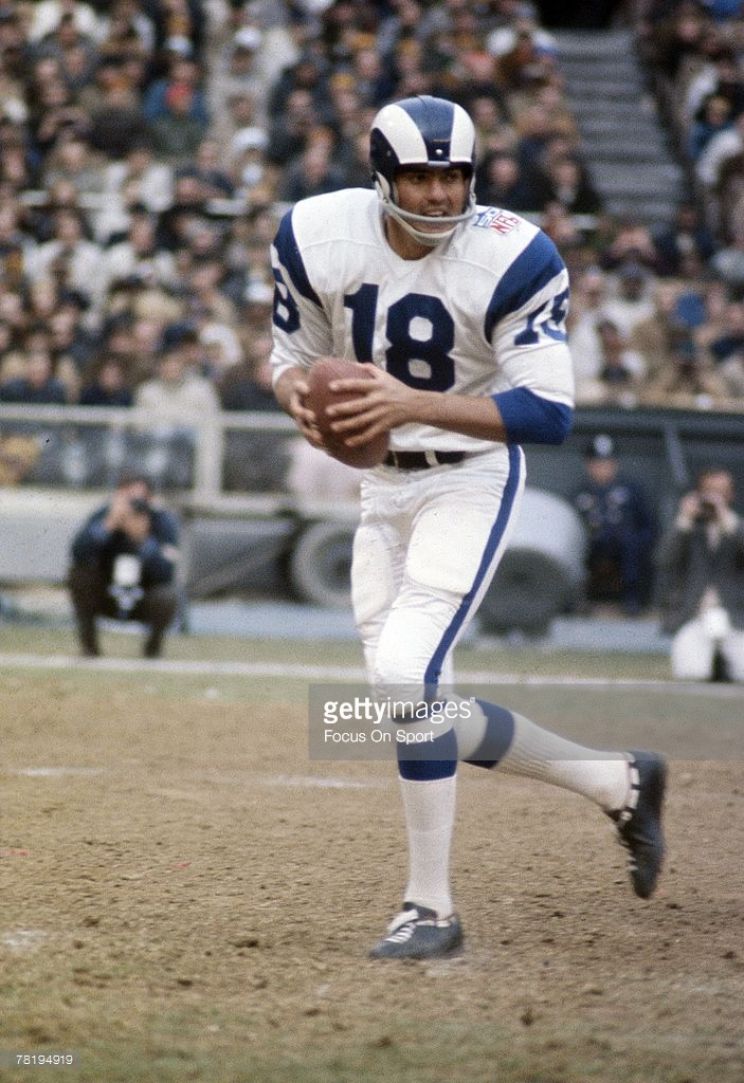 Roman Gabriel