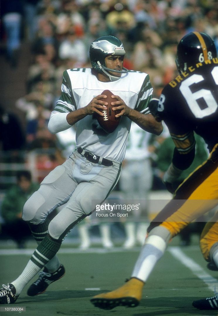 Roman Gabriel