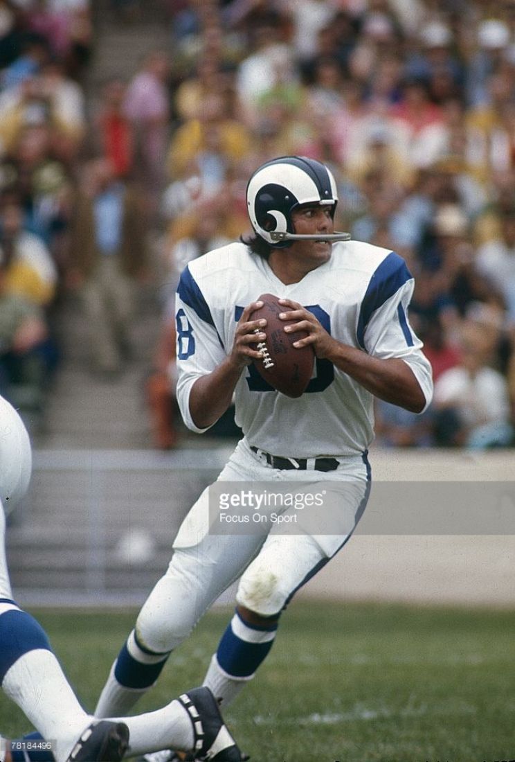 Roman Gabriel