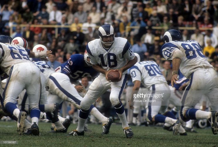 Roman Gabriel
