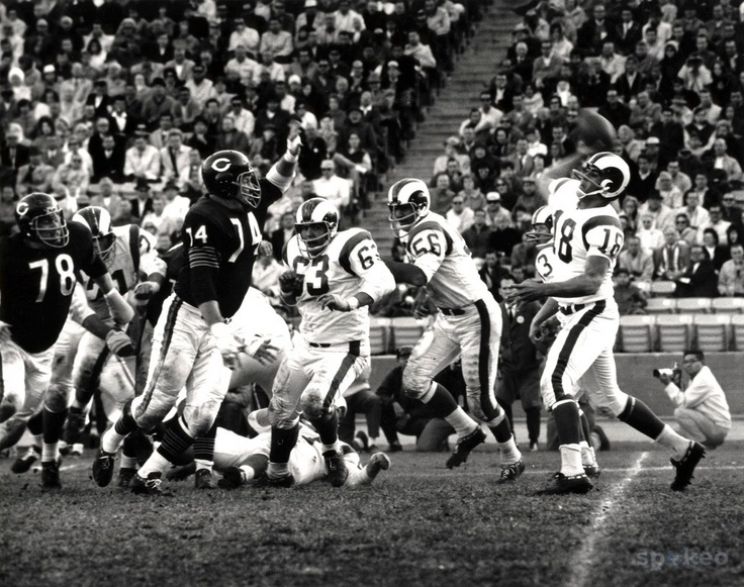 Roman Gabriel