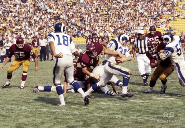 Roman Gabriel