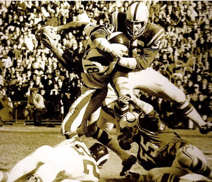 Roman Gabriel