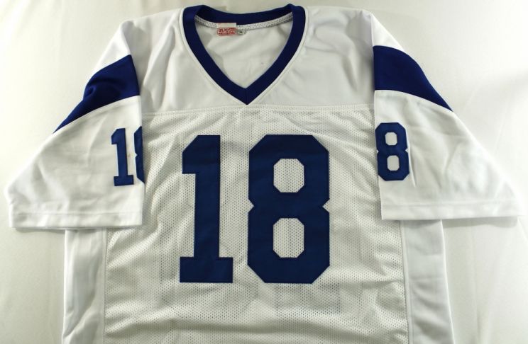 Roman Gabriel