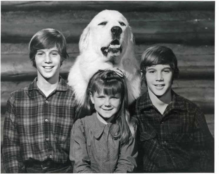 Ron Soble