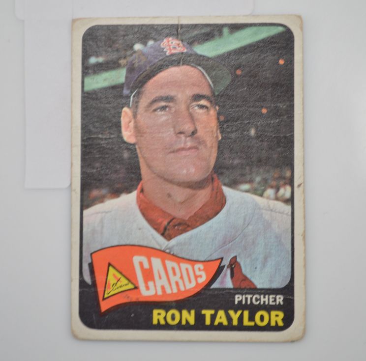 Ron Taylor