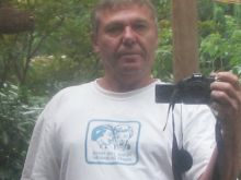 Ronald Weber