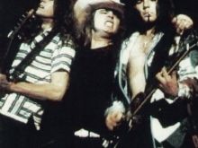 Ronnie Van Zant #2731185 picture (Landscape Medium)