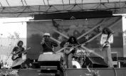 Ronnie Van Zant