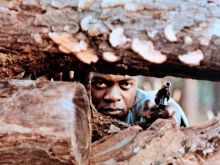 Roscoe Lee Browne #835903 picture (Landscape Medium)