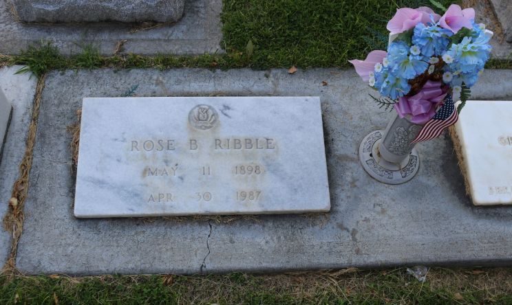 Rose Bosch