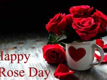 Rose Day Stuart