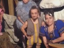 Rose Siggins