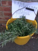 Rosemary England