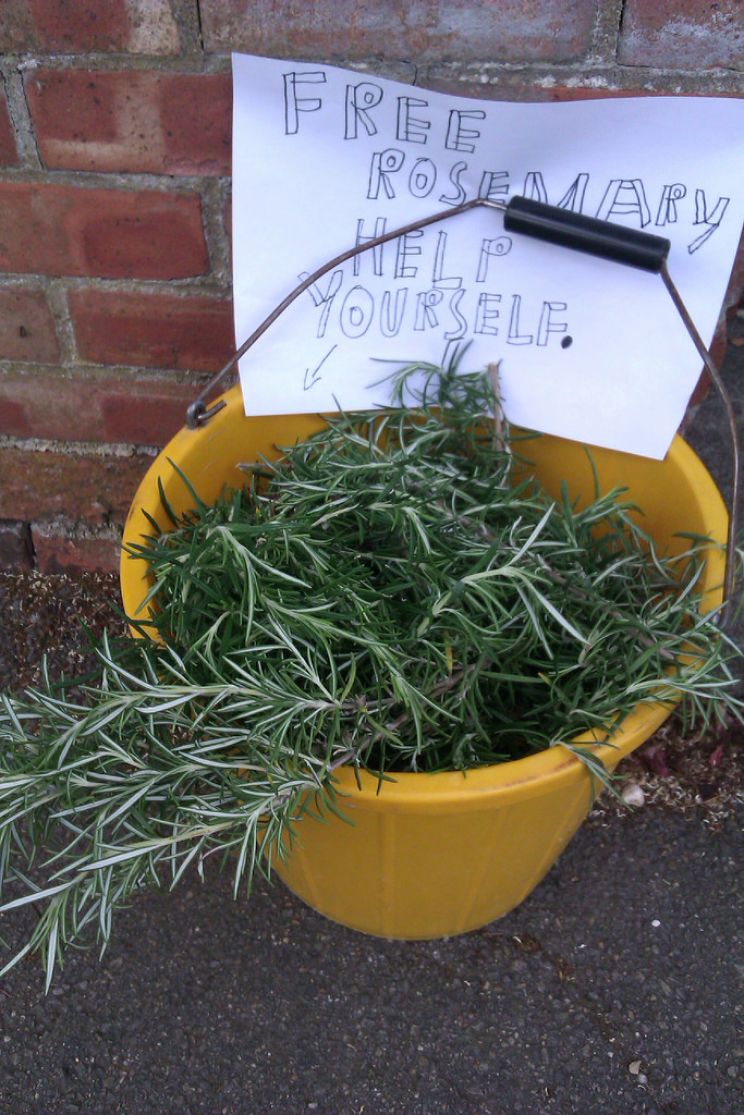 Rosemary England