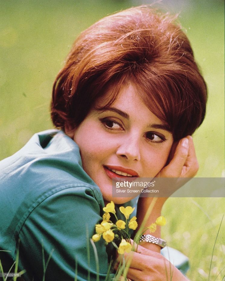 Rossana Podestà