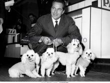 Rossano Brazzi