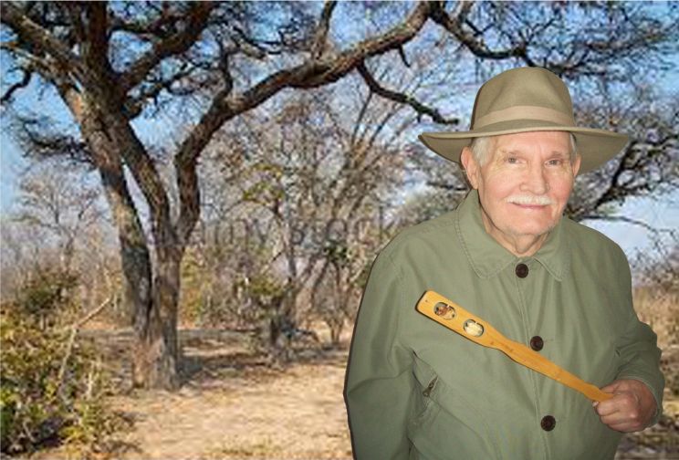 Roy Edward Disney