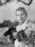 Roy Thinnes