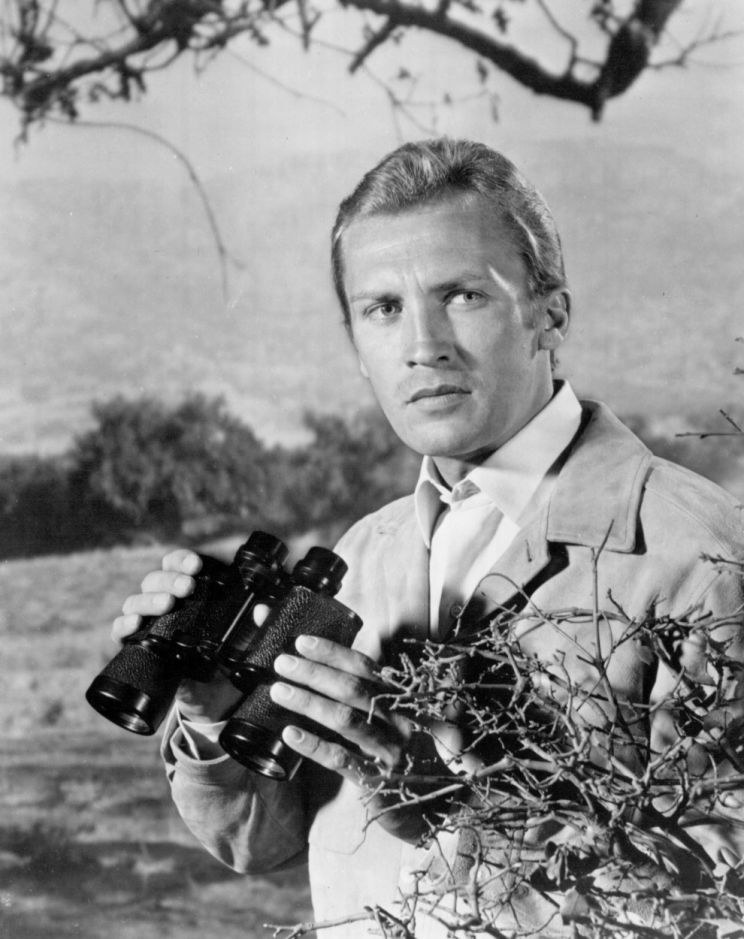 Roy Thinnes