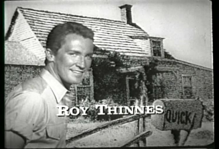 Roy Thinnes