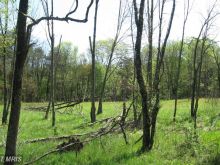 Rusty Lane